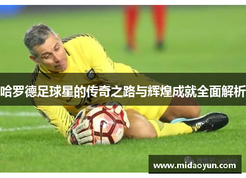 哈罗德足球星的传奇之路与辉煌成就全面解析