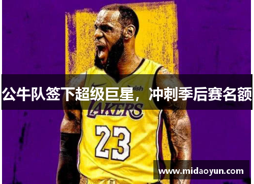 公牛队签下超级巨星，冲刺季后赛名额