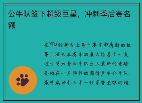 公牛队签下超级巨星，冲刺季后赛名额
